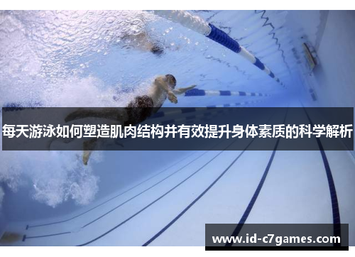 每天游泳如何塑造肌肉结构并有效提升身体素质的科学解析