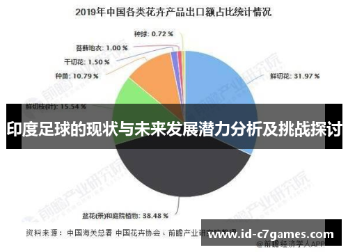 印度足球的现状与未来发展潜力分析及挑战探讨
