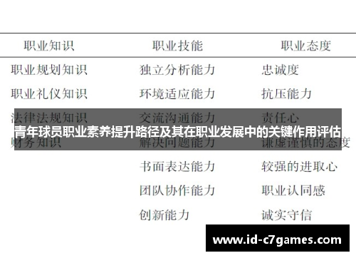 青年球员职业素养提升路径及其在职业发展中的关键作用评估
